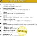 새올법률사무소 이미지