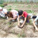 감성초등학교 이미지