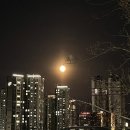 별내대게하우스
