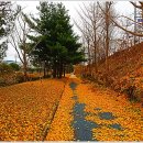 [국도34] 아산시 걸매리