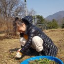 상조농장 이미지