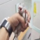 둔촌동물병원 이미지