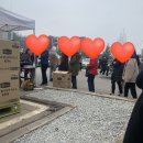 화성남양농협하나로마트 남양하나로마트(마스크판매구입후기 코로나방역 후)