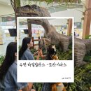 경기도 수원시 권선구 세화로151번길 29-2 (서둔동) | 공룡 좋아한다면 트라이아스 타임빌라스 수원점 내돈내산 솔직후기 🦖
