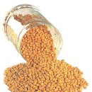 "spill the beans" 비밀을 말해줘 이미지
