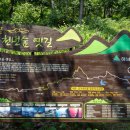 땅끝천년숲옛길 이미지