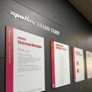 뉴텍컴퓨터 | 미금역 헬스장 PT 가능한 스포애니 미금점 24시간 헬스장