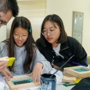 어화댕댕 이미지