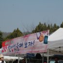 영안중학교 이미지