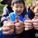 즐거운 숲에서 놀자, 장성 방장산자연휴양림 이미지