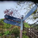 삼산면사무소 이미지