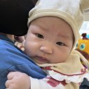 남지가축병원 | 창녕 낙동강 유채 축제 다녀왔어요 (아기랑 방문 후기).By 하은아빠