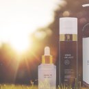 보아스테크 이미지