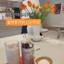 신논현역 1번출구 뒤 | 신논현역 24시 카페 ) 셀렉토커피 신논현점 솔직후기 (메뉴,가격,주차)