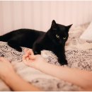 건강하게동물병원 이미지