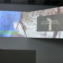 삼청로 | 국립현대미술관 서울 MMCA 관람 후기; 상설전/ 김창열/ 올해의 작가상 2025