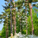 정발산역 이미지