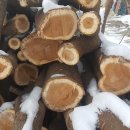 병구농장 이미지