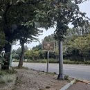 심즙신도비 이미지