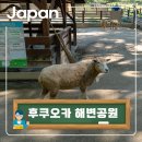 지형놀이공원 | 일본 뜨는 여행지로 떠나는 가을여행 우미노나카미치 해변공원 탐방기