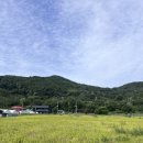 봉황숯불가든 이미지