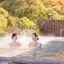 (주)몸앤케어 이미지