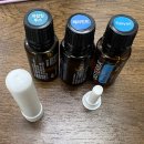 천연DIY체험 | 용인 공세동 센트하우스 원데이클래스 천연향수 인헤일러 천연화장품 만들기 체험 후기