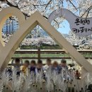 대양어린이집 이미지