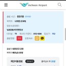 냐짱 1일차(인천공항 외투보관, 비엣젯, 브이스파, 하이디라오, 롯데마트, 카사스파, 더아남)