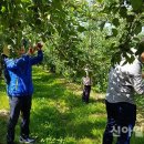의성군시설관리사업소 이미지