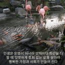 백봉농장 이미지