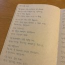 북카페 화장실 | 제주 동쪽 혼여행 추천, 함덕 북카페 도토관