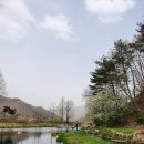 솔치송어파티 | 강원도 황둔 솔치마을 솔치송어파티 낚시터 아이들과 함께 꼭 가보세요!