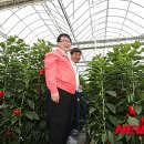 조성봉농장 이미지