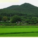 종천초등학교 이미지