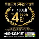 핏-슈 이미지