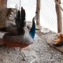 신도펜션 이미지