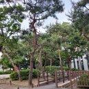 왕버들공원화장실 이미지