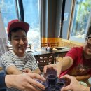 형제조류 이미지