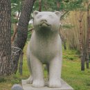 솔향수목원(제3주차장) 이미지