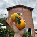 성산농수산
