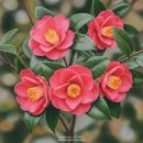 에버그린 데이케어센터 이미지