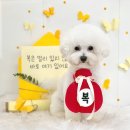 꼬맹이네 멍발소 이미지