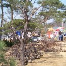 팔당조경
