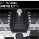 쌍용체육관 이미지