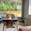 전주교육대학교전주부설초등학교 | 9개월아기랑 전주 가볼만한 곳(양화소록,서학예술마을도서관,서학동사진미술관,팔복예술공장)