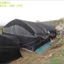 김옥자농장 이미지