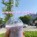 카페게이트평촌학원가점