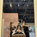 아버헤어 트리플2호점 :: 모발클리닉 내돈내산 실 후기 :: 가격 공유
