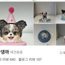 댕까댕까 이미지